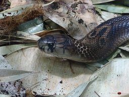 Tiergarten Schönbrunn am 23.03.2023